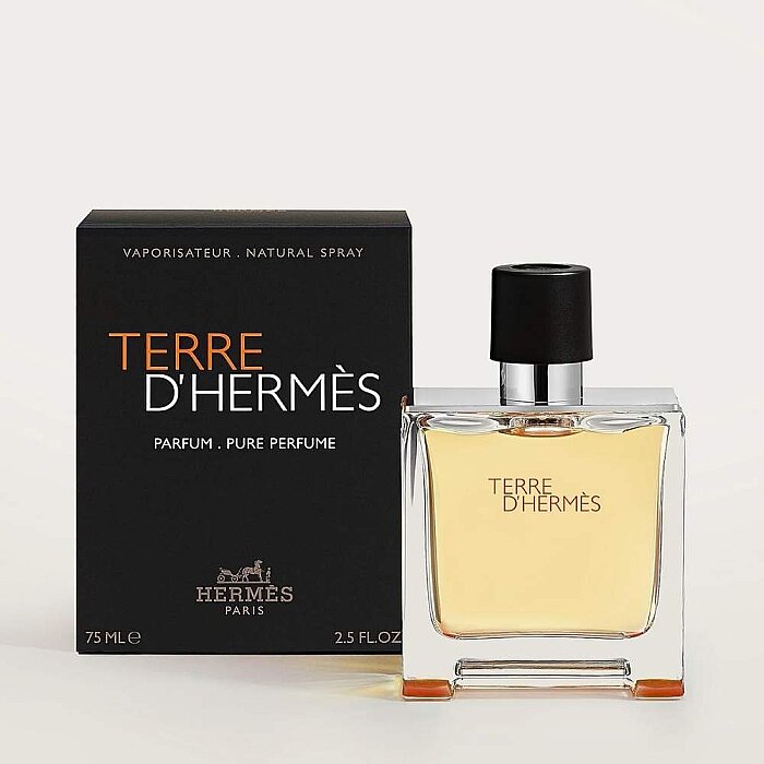 Hermes Terre D'Hermes Erkek Parfüm Pure Parfum 75 Ml - 2