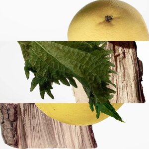 Hermes Terre D'Hermes Pure Erkek Parfüm Edp 200 Ml - 3