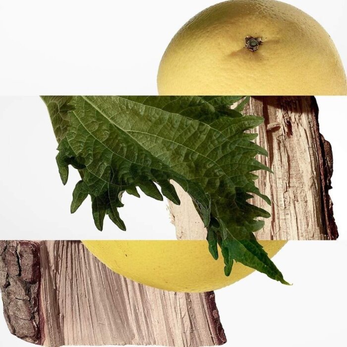 Hermes Terre D'Hermes Pure Erkek Parfüm Edp 200 Ml - 3