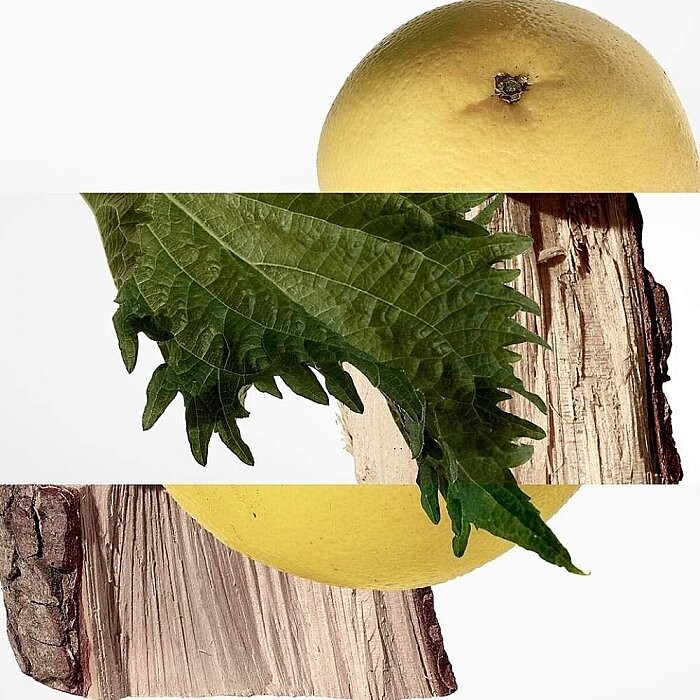 Hermes Terre D'Hermes Pure Erkek Parfüm Edp 200 Ml - 2