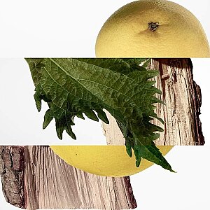 Hermes Terre D'Hermes Pure Erkek Parfüm Edp Refill 125 Ml - 2