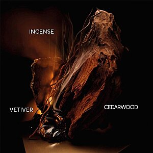 Hugo Boss Bottled Elixir Erkek Parfüm 50 Ml - 4