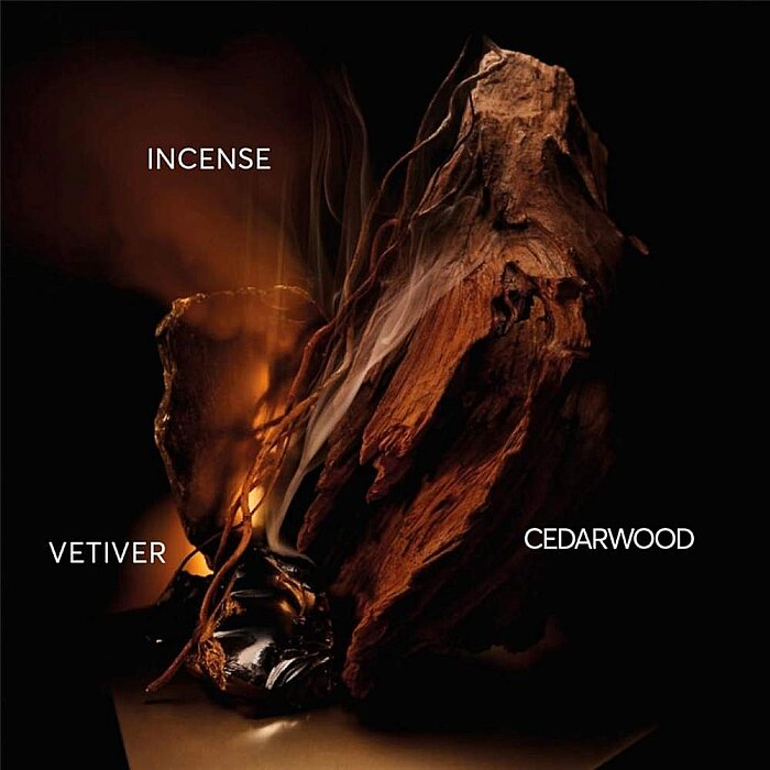 Hugo Boss Bottled Elixir Erkek Parfüm 50 Ml - 4