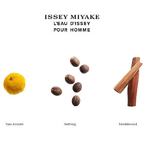 Issey Miyake L'Eau D'Issey Erkek Deo Stick 75 Gr - 2