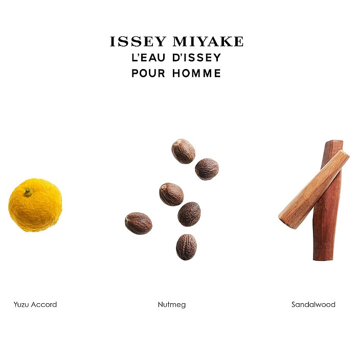 Issey Miyake L'Eau D'Issey Erkek Deo Stick 75 Gr - 2