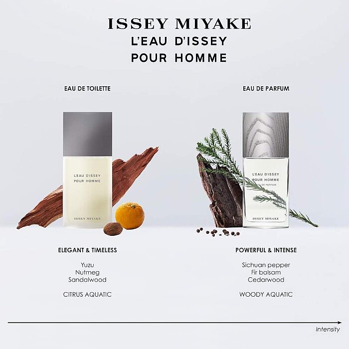 Issey Miyake L'Eau D'Issey Erkek Parfüm Edt 125 Ml - 3
