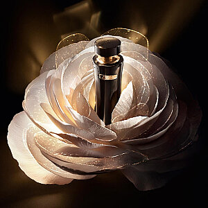 Lancome Absolue L'extrait Losyon 150 Ml - 4