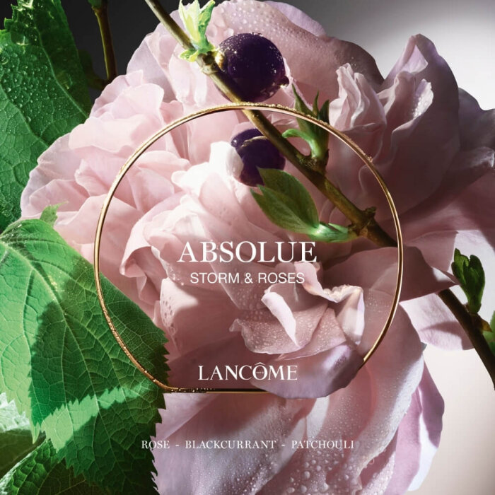 Lancome Absolue Storm&Roses Kadın Parfüm Edp 100 Ml - 4