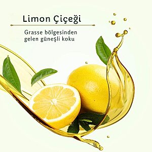 Le Petit Olivier Fresh Lemon Verbene Roll-On 50 Ml - 4