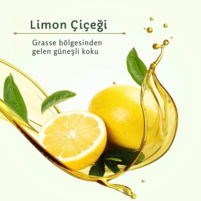 Le Petit Olivier Fresh Lemon Verbene Roll-On 50 Ml - 4