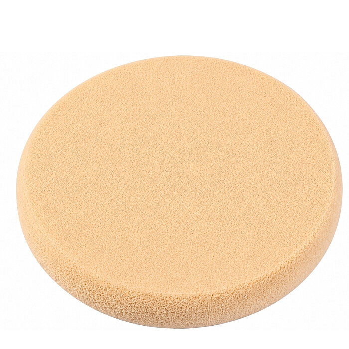 Lionesse Latex Premium 2541 - 1