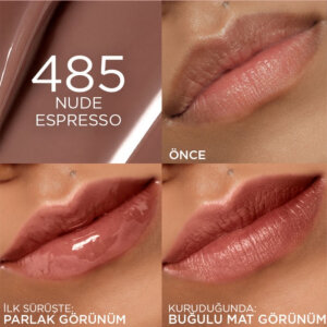 Loreal Paris Ruj Plump Tint 485 - 4