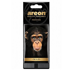 Nefes Areon Wild Professor Oto Araç Kokusu - Areon