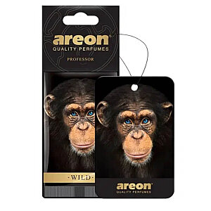 Nefes Areon Wild Professor Oto Araç Kokusu - 2