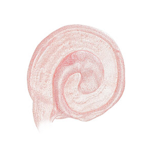 Pastel MoonLight HighLighter Aydınlatıcı No 100 - 2