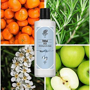 Rebul Kolonya Ice Edc 250 Ml - 4