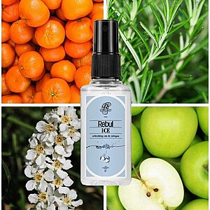 Rebul Kolonya Ice Edc 50 Ml - 2