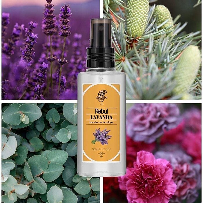 Rebul Kolonya Lavanda Edc 125 Ml - 4