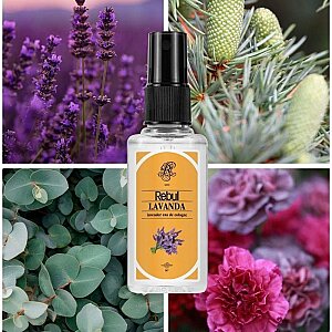 Rebul Kolonya Lavanda Edc 50 Ml - 2