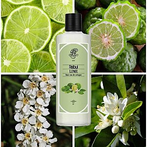 Rebul Kolonya Lime Edc 250 Ml - 4