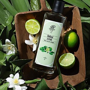 Rebul Kolonya Lime Edc 250 Ml - 3