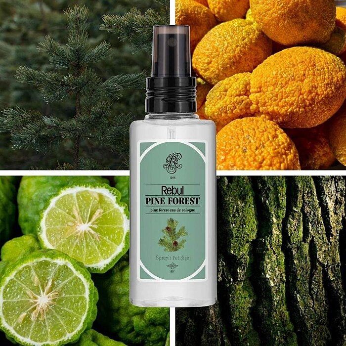Rebul Kolonya Pine Forest Edc 125 Ml - 4