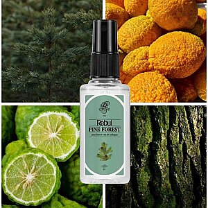 Rebul Kolonya Pine Forest Edc 50 Ml - 2
