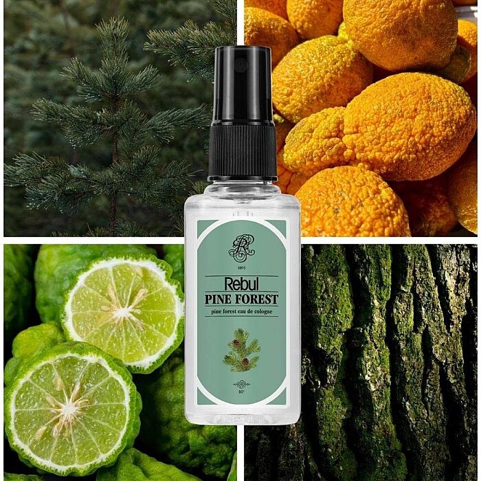 Rebul Kolonya Pine Forest Edc 50 Ml - 2