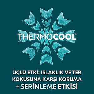 Rexona Men Thermocool Deo Spray 150 Ml - 3