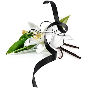 Salvatore Ferragamo Signorina Misteriosa Kadın Parfüm Edp 50 Ml - 2