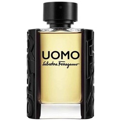 Salvatore Ferragamo Uomo Erkek Parfüm Edt 50 Ml - Thumbnail
