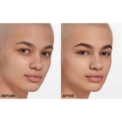 Shiseido Syncro Skin Self Refreshing Foundation 160